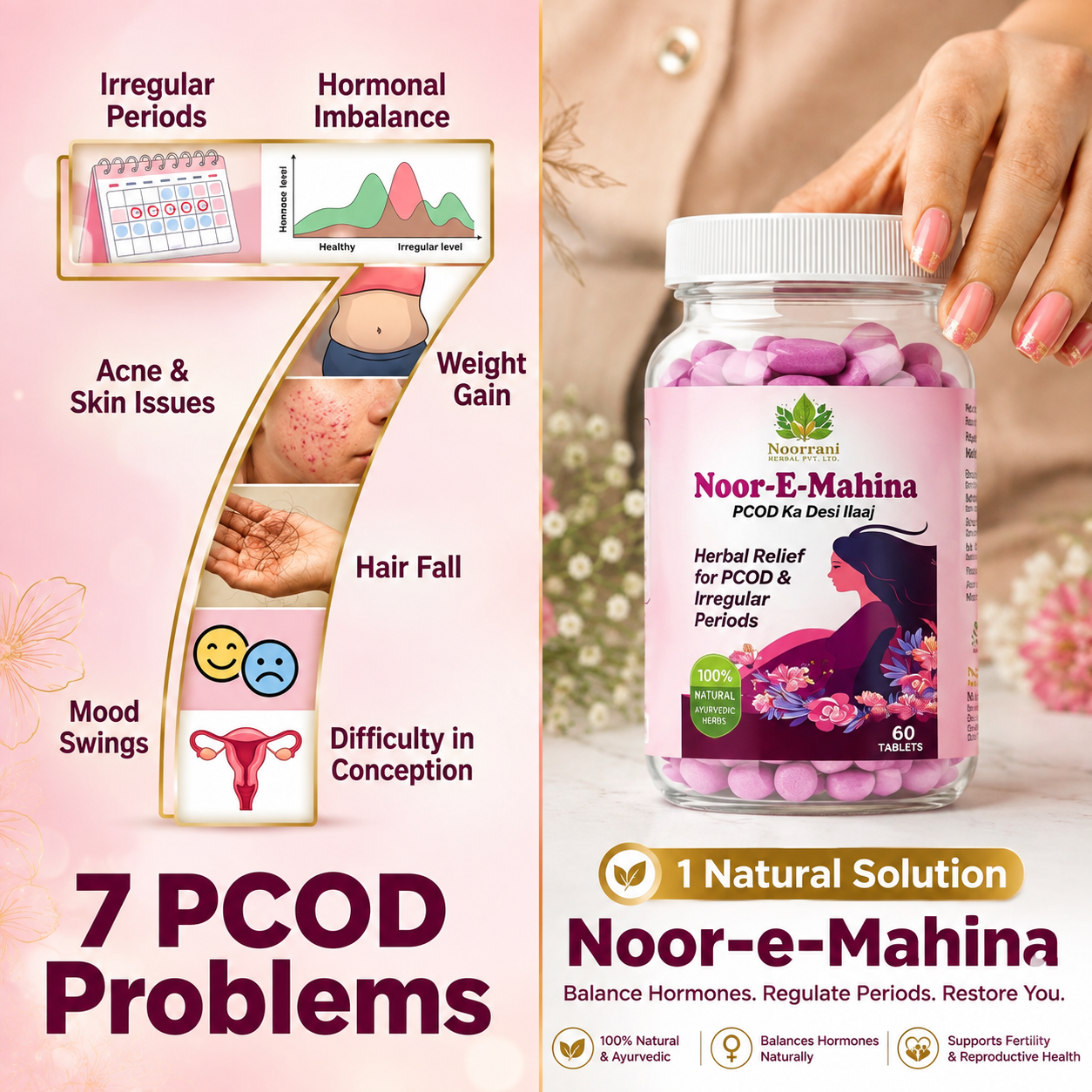 Noor-e-Mahina - Image 8