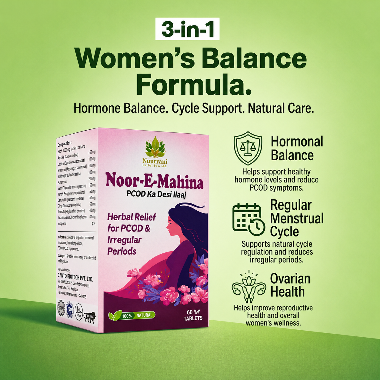 Noor-e-Mahina - Image 5