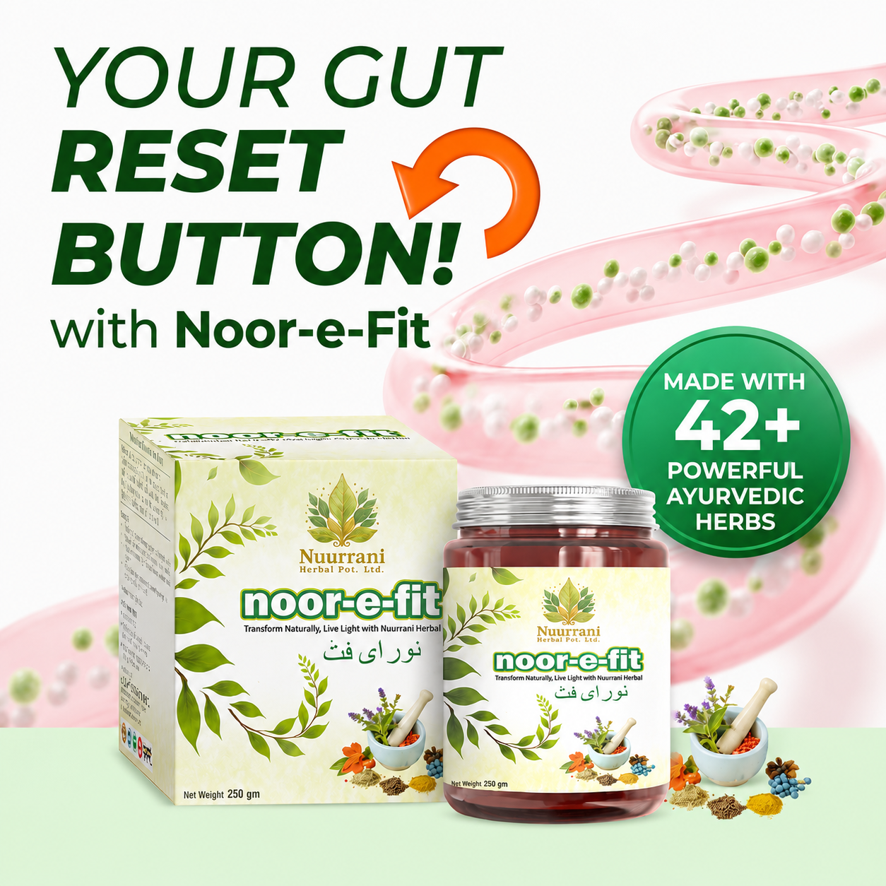 Noor-e-Fit - Image 3