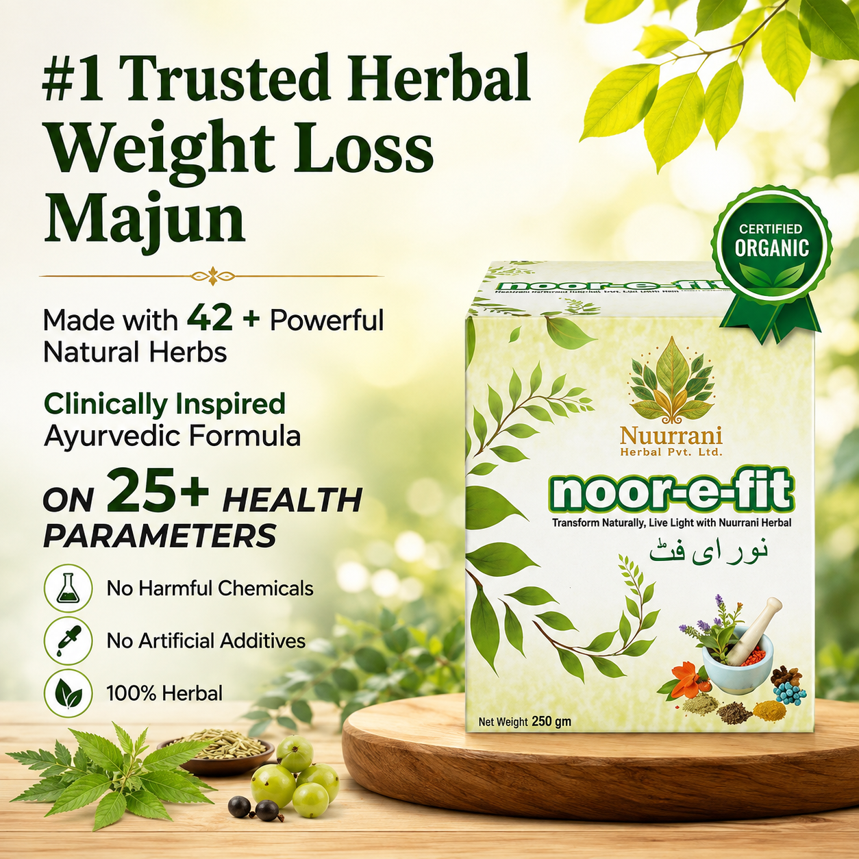 Noor-e-Fit - Image 2